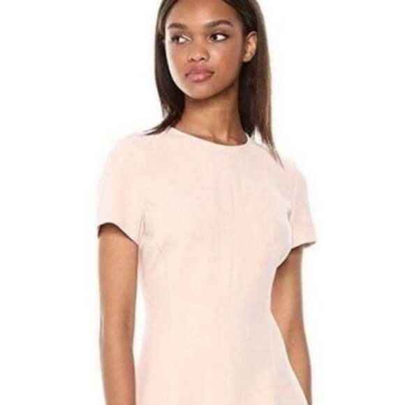 Theory Modern Seamed Shift Dress Pink Size 6 - Picture 4 of 5